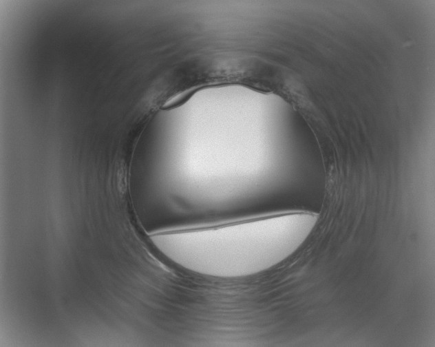 X0000074970474200609011021