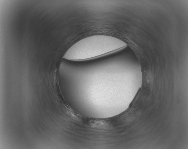 X0000074970475200609011021