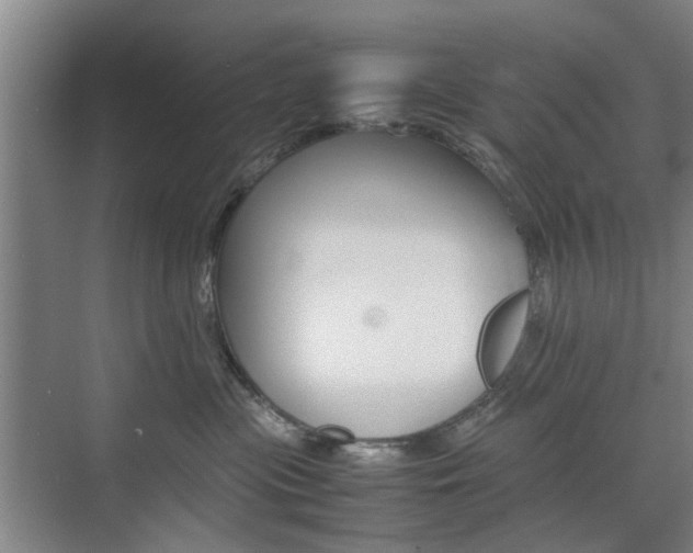 X0000074970477200609011021