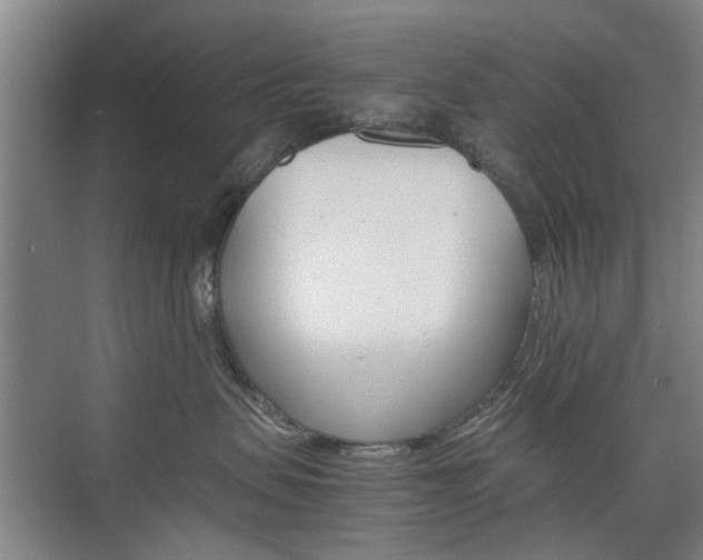 X0000074970479200609011021