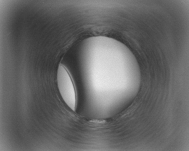 X0000074970480200609011021