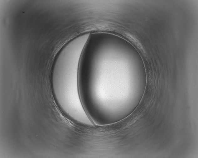 X0000074970481200609011020