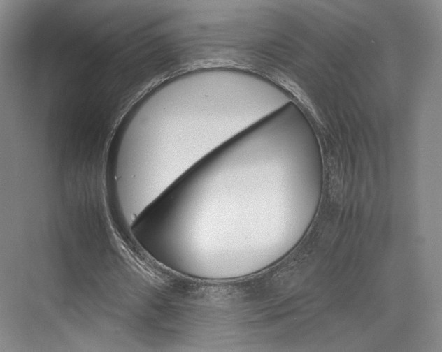 X0000074970482200609011020