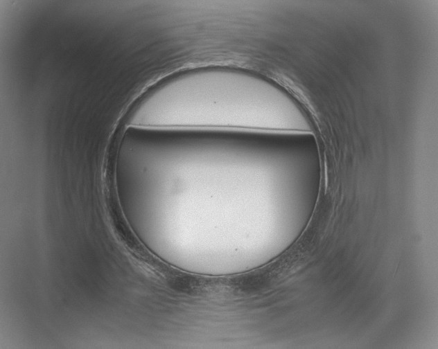 X0000074970483200609011020