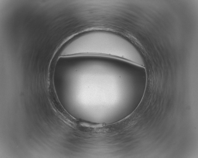 X0000074970484200609011020