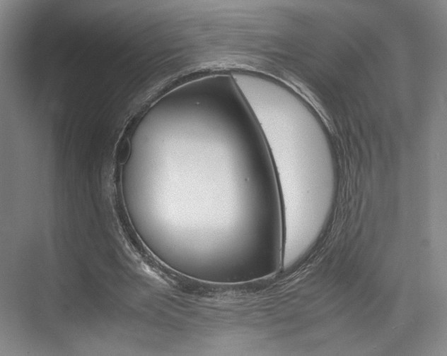 X0000074970485200609011020