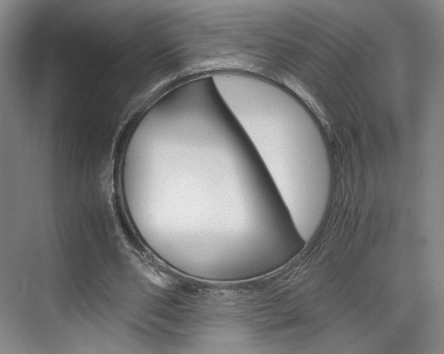 X0000074970486200609011020