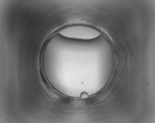 X0000074970487200609011020