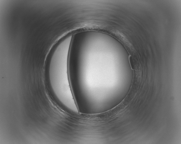 X0000074970488200609011020