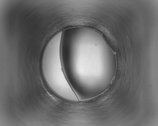 X0000074970489200609011020