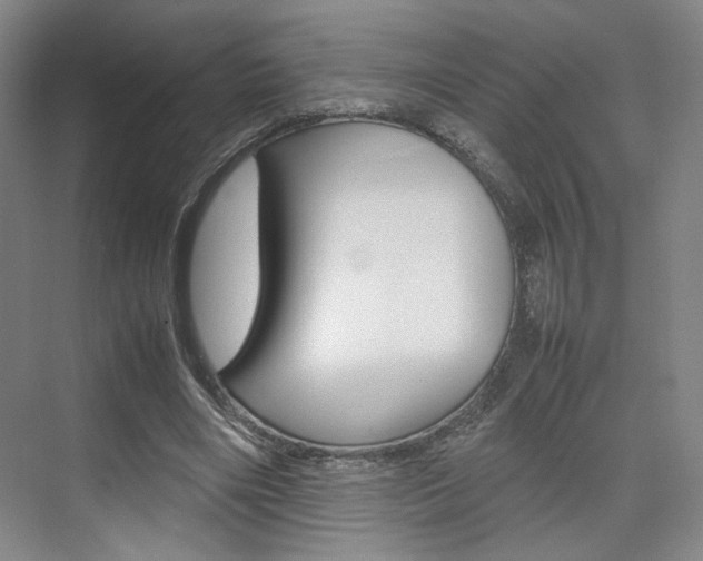 X0000074970490200609011020