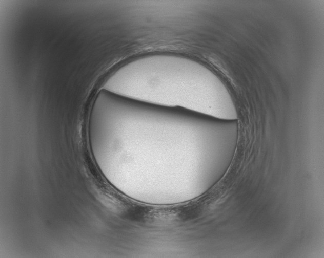 X0000074970491200609011020