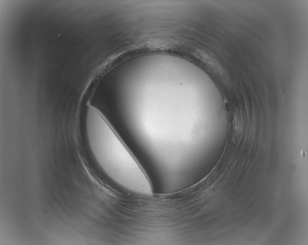 X0000074970492200609011020