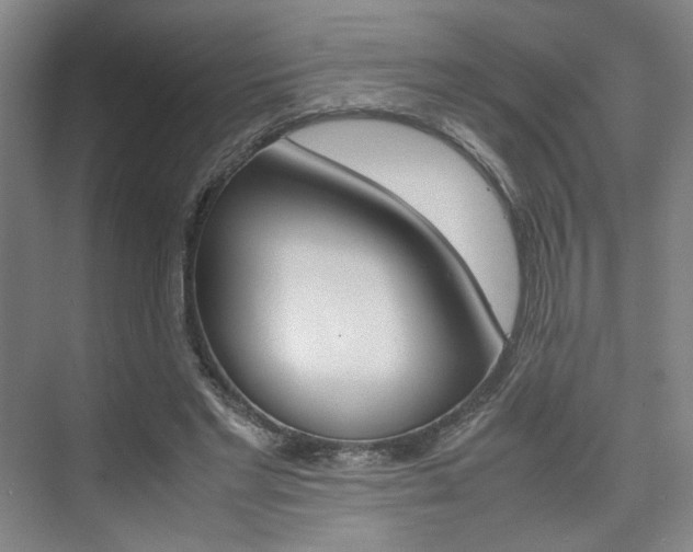 X0000074970493200609011020