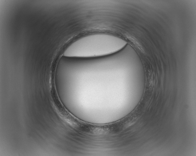 X0000074970494200609011020