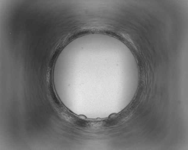 X0000074970495200609011020