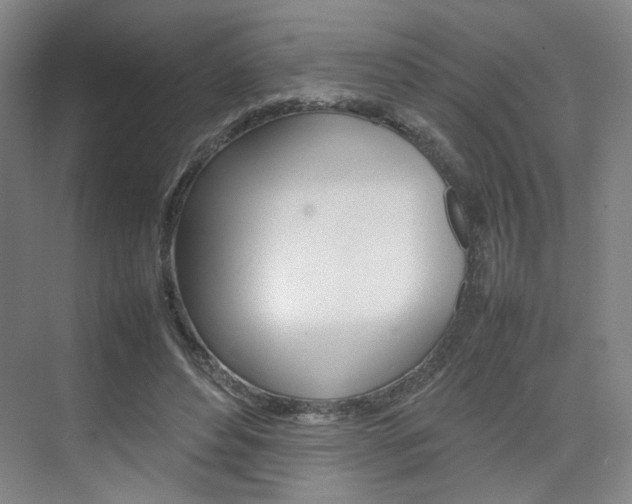 X0000074970496200609011020