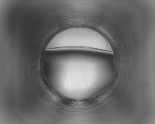 X0000074970497200609011020