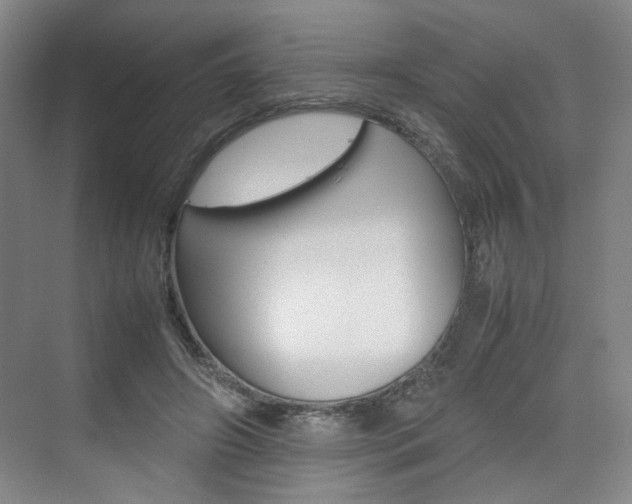 X0000074970498200609011020