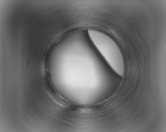 X0000074970500200609011020