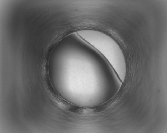 X0000074970501200609011020