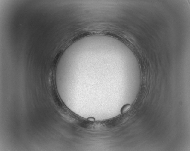 X0000074970503200609011020