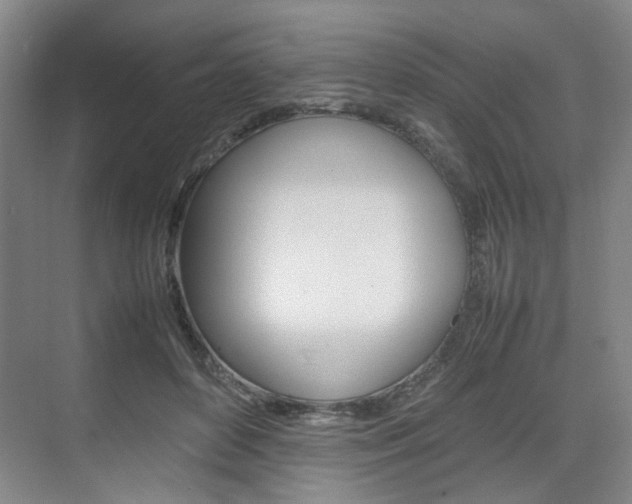 X0000074970504200609011020