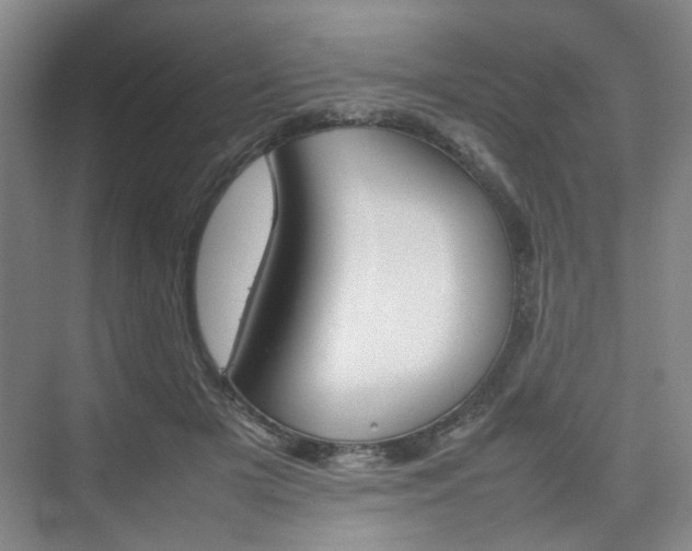 X0000074970505200609011020