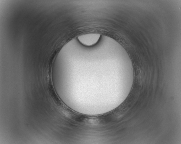 X0000074970506200609011020