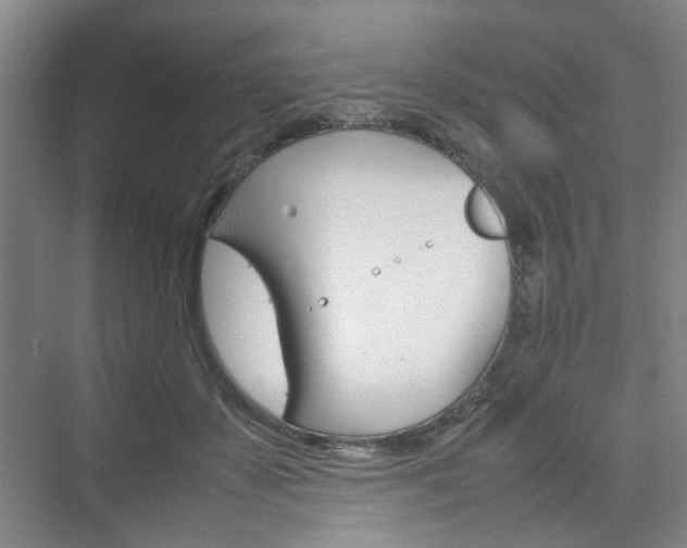 X0000074970507200609011020