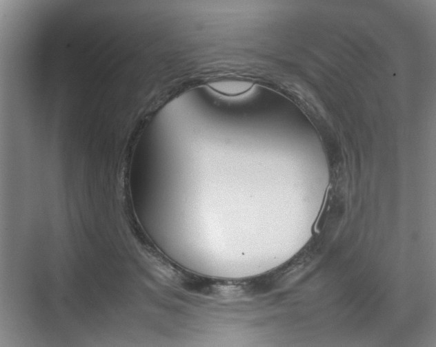 X0000074970509200609011020