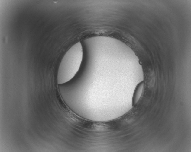 X0000074970510200609011020