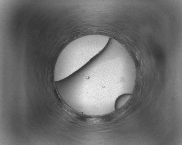 X0000074970511200609011020