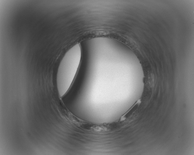 X0000074970512200609011020