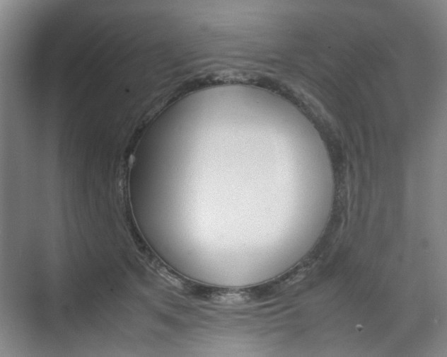 X0000074970513200609011020