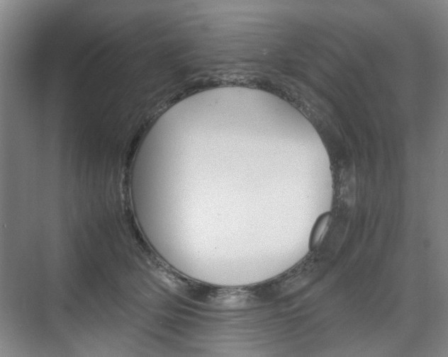 X0000074970514200609011020