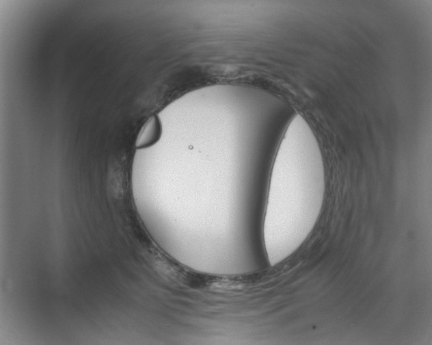 X0000074970515200609011020