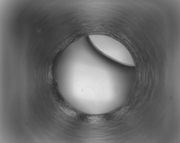 X0000074970516200609011020