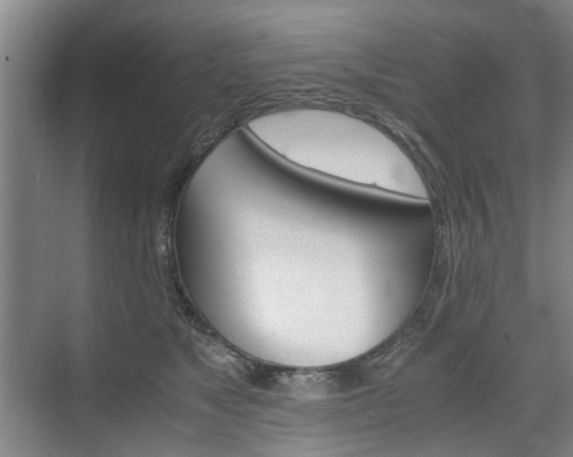 X0000074970517200609011020