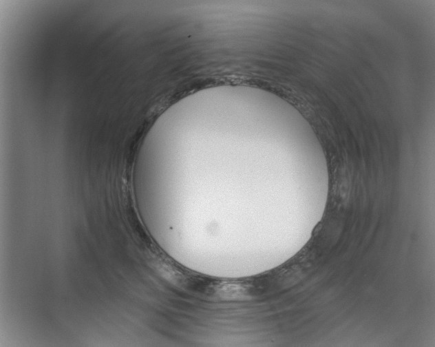 X0000074970518200609011020