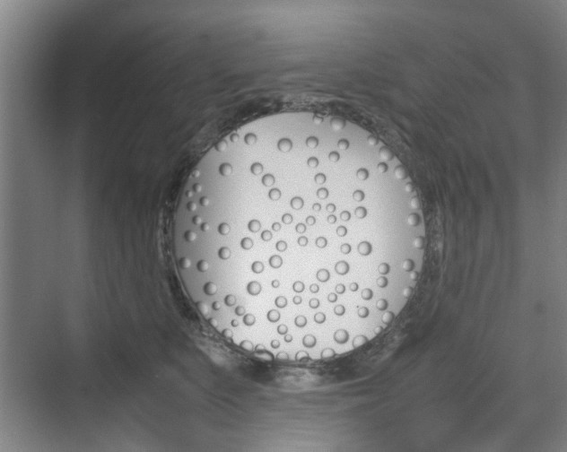 X0000074970519200609011020