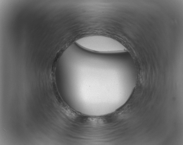 X0000074970520200609011020