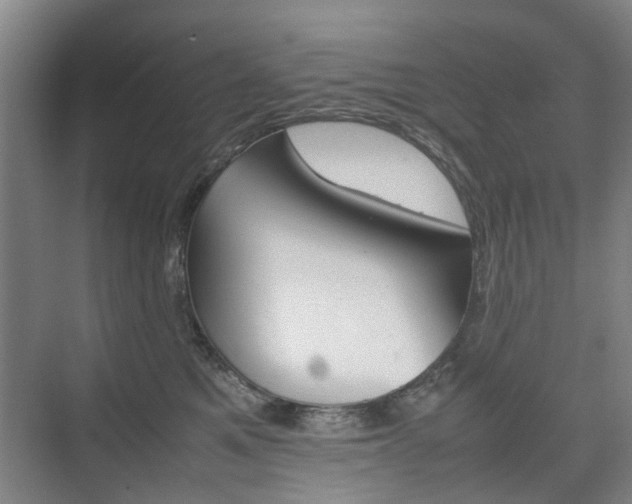 X0000074970521200609011020