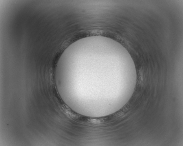 X0000074970522200609011020