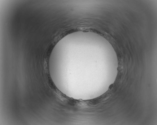 X0000074970523200609011020