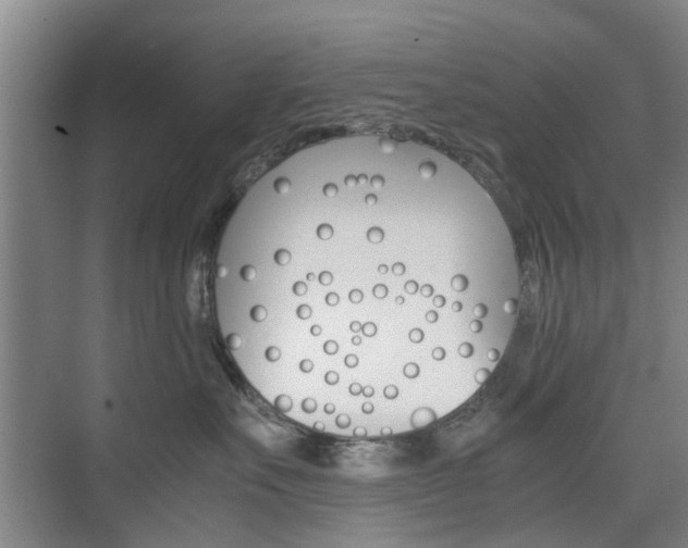 X0000074970527200609011019