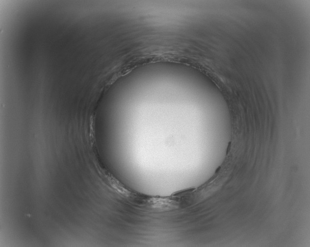 X0000074970528200609011019