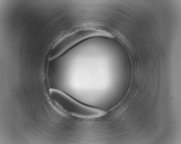 X0000074970530200609011019