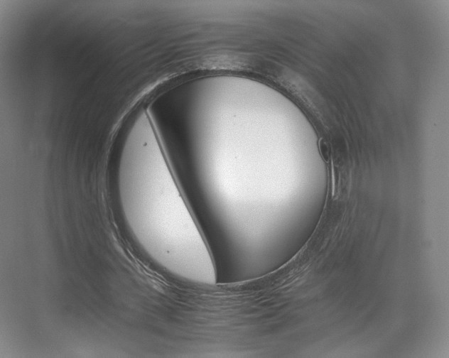 X0000074970531200609011019