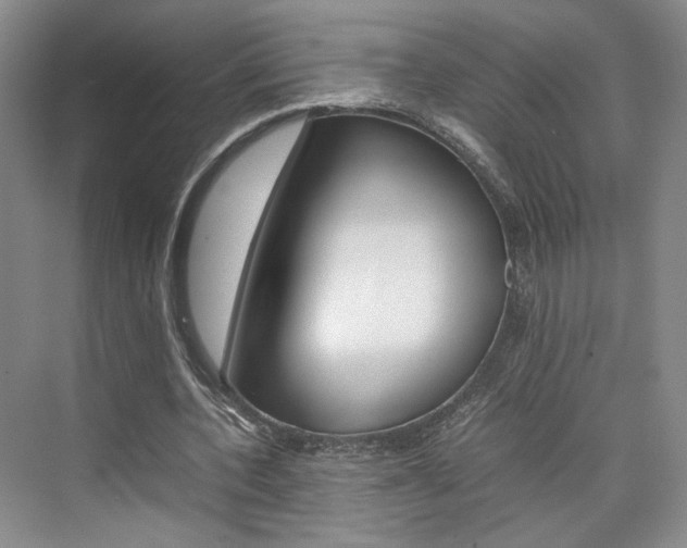 X0000074970532200609011019